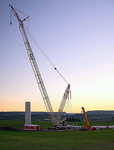 white crane thumbnail