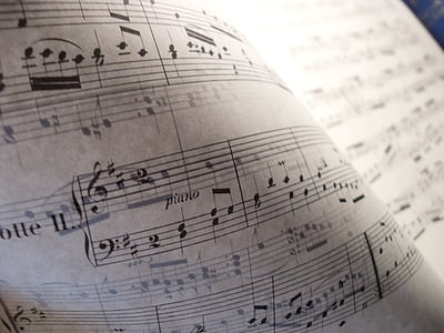 close up photo of music note thumbnail