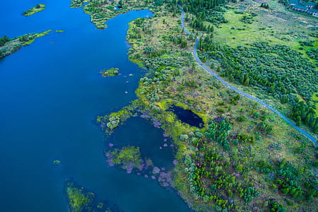 aerial photography of body of water surrounding green trees at daytime thumbnail