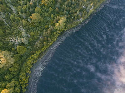 aerial landscape photography of a beach near forest thumbnail