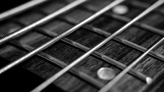grayscale photo of guitar strings thumbnail