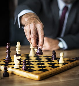 Person Holding Chess Toy thumbnail