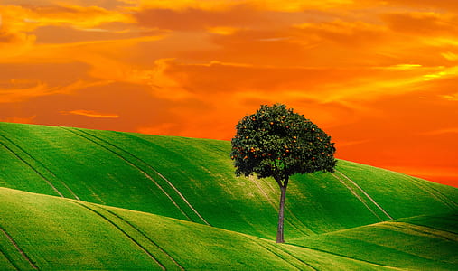 green field and tree painting thumbnail