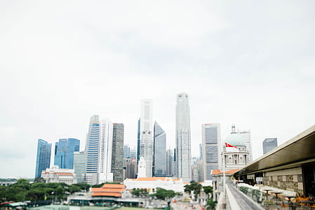 landscape photo of city buildings thumbnail
