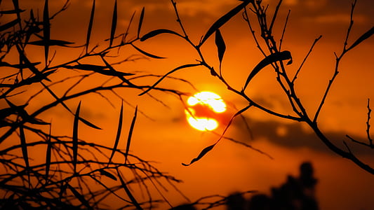 Sunset thumbnail