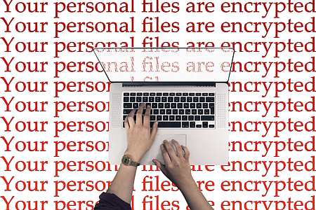person typing on MacBook thumbnail