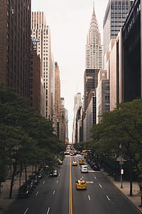 portrait photography of road between buildings thumbnail
