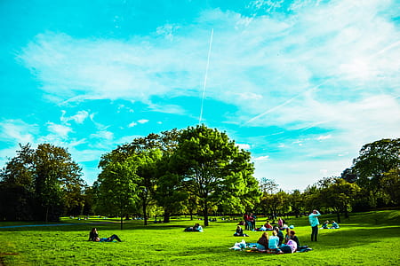 people sitting and walking at park during daytime thumbnail