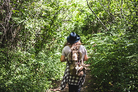 A female hiker carrying a backpack walikng in the forest thumbnail