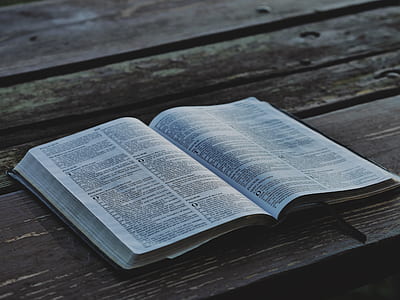 open book on brown wooden surface thumbnail