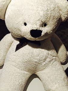 Brown Teddy Bear thumbnail