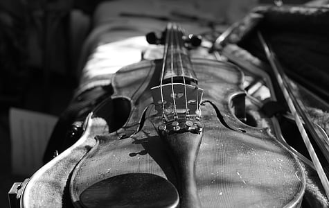 gray scale photo of violin thumbnail