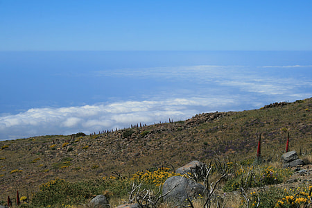 Canary Islands, Teide National Park thumbnail