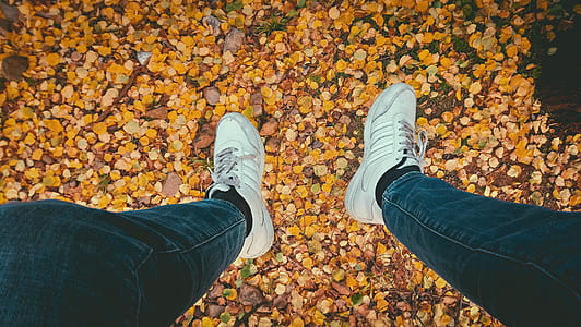 Person's Wearing Blue Jeans and Pair of White Sneakers thumbnail