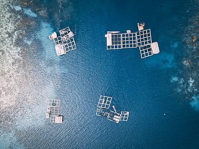 aerial photography of body of water thumbnail