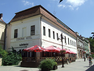 The Dorottya House  in Kaposvar, Hungary thumbnail