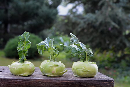 close-up photography of three vegetables on brown wooden surface thumbnail