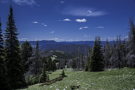 Mountainside Landscape in the Elkhorn Mountains thumbnail