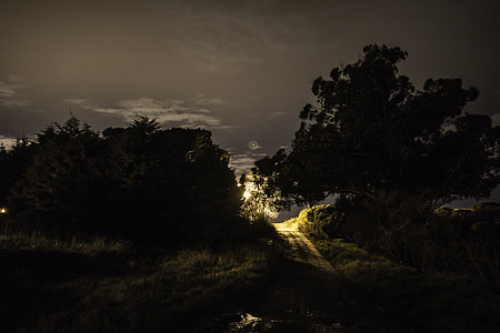Photography Night, Parents Saw thumbnail