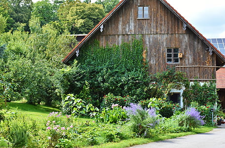 brown wooden barn during daytime thumbnail