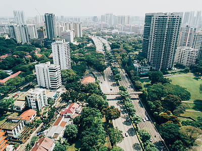 bird's eye view photography road between trees thumbnail