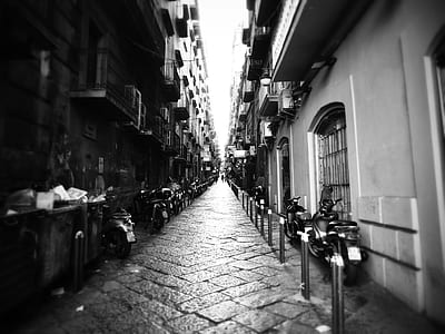 black-and-white, city, road, street thumbnail