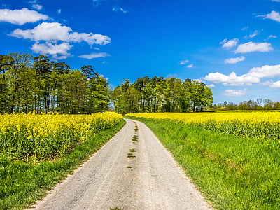 photo of road in between of green grasses thumbnail
