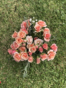 pink flowers thumbnail