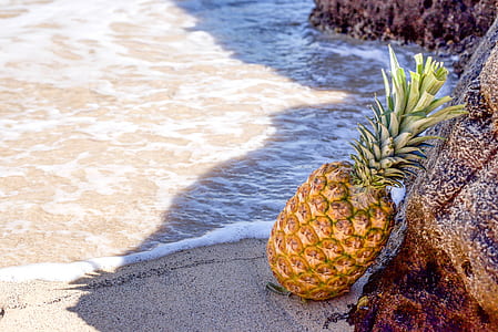 Pineapple in Seashore Leaning on Brown Rock thumbnail