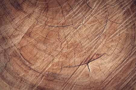 close photo of brown wall thumbnail