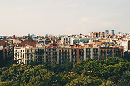 bird eye view of town thumbnail