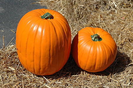 two orange pumpkins thumbnail