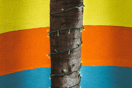 yellow and green string lights rolled on tree thumbnail