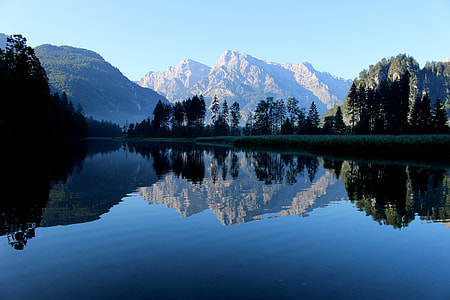 silhouette of trees near body of water during daytime thumbnail