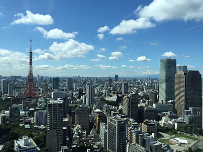 aerial photography of cityscape at daytime thumbnail