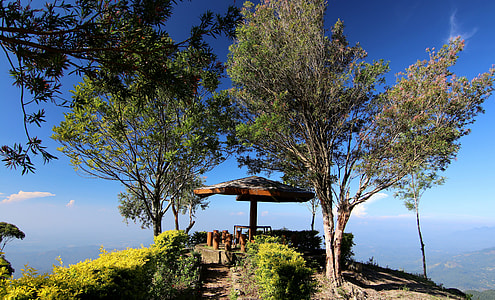 gazebo near trees at daytime thumbnail