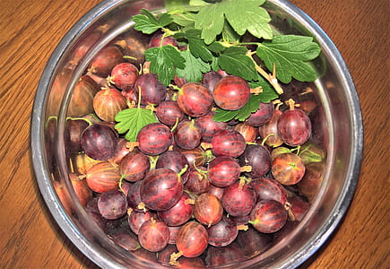 fruits on bowl thumbnail