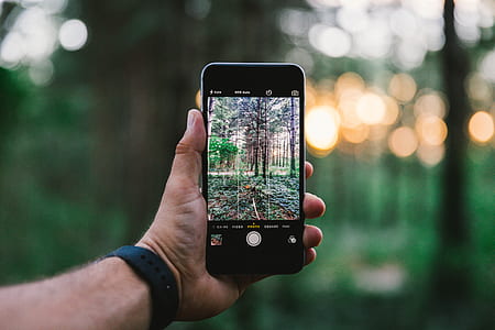 person holding opened space gray iPhone 6 taking photo of trees thumbnail