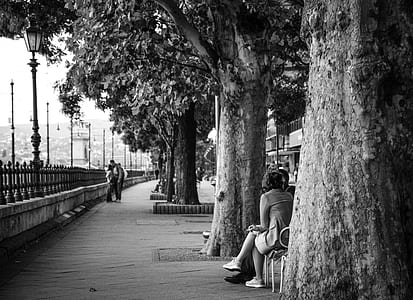 Gray Scale Photo of Woman Sitting Down in Chair Near Trees thumbnail