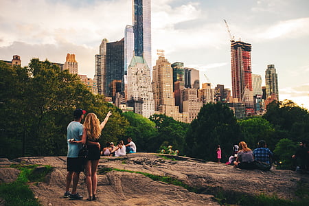 people in park with trees in city thumbnail