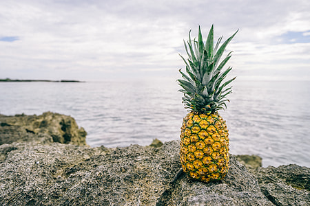 pineapple fruit on gray stone near body of water during daytime thumbnail