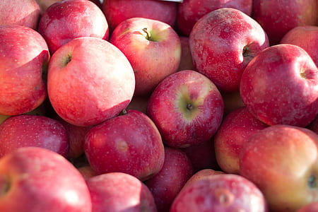 bunch of red apple fruits thumbnail