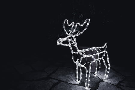 white string light deer thumbnail