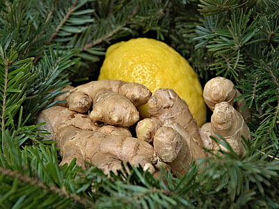 brown ginger and yellow lime thumbnail