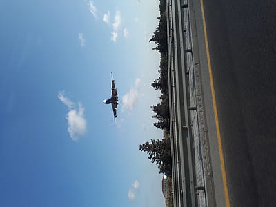 airplane over trees and concrete road at daytime thumbnail