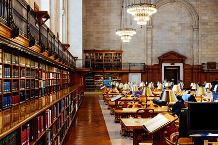 brown wooden books with bookshelves thumbnail