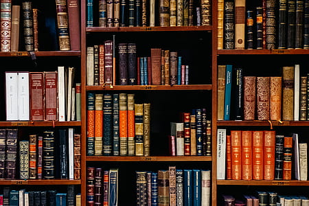 assorted book lot inside the wooden shelf thumbnail