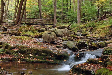 A wooden bridge crosses Dunnfield Creek near a small casade in the Delaware Water Gap New Jersey side. thumbnail