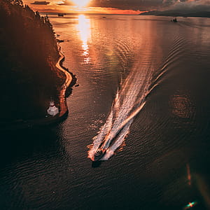 White Cruise Ship in Body of Water thumbnail