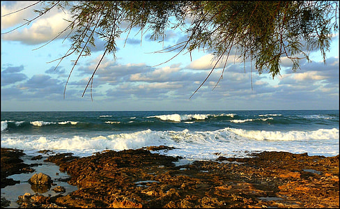 seashore during daytime thumbnail